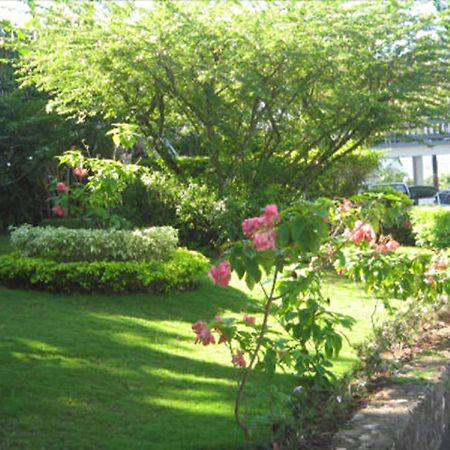 Paradise Brandon Hill Guest House Montego Bay Exterior foto