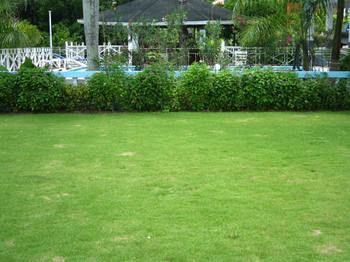 Paradise Brandon Hill Guest House Montego Bay Exterior foto