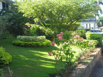 Paradise Brandon Hill Guest House Montego Bay Exterior foto